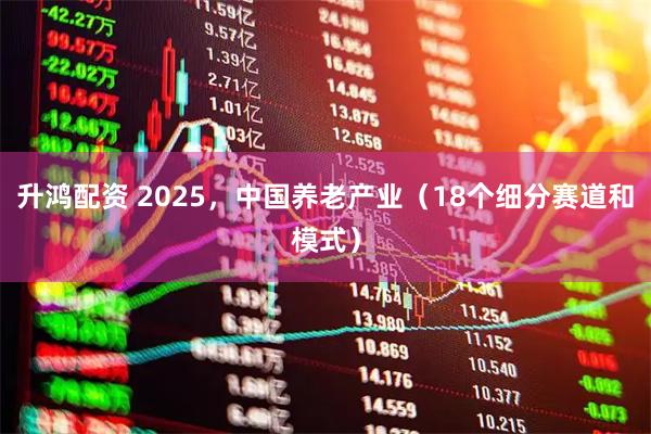升鸿配资 2025，中国养老产业（18个细分赛道和模式）