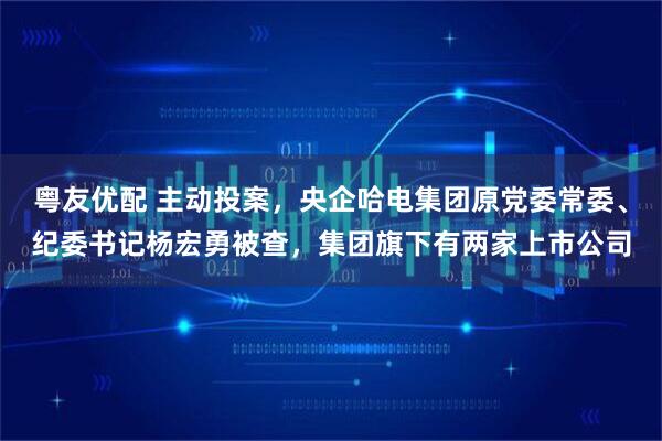粤友优配 主动投案，央企哈电集团原党委常委、纪委书记杨宏勇被查，集团旗下有两家上市公司